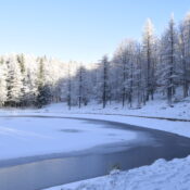 lago della ninfa inverno