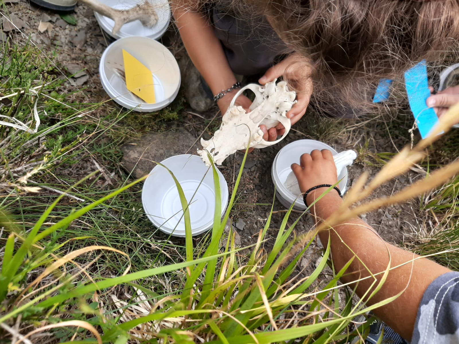 Trekking Della Viandante Della Donna in Montagne Con Il Bambino in Zaino  Madre Con Il Neonato Che Viaggia Nel Giorno Soleggiato D Immagine Stock -  Immagine di trasporti, viaggio: 110924045