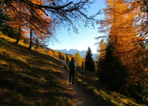 Il weekend dei larici dorati