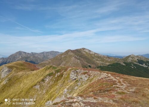 Tutti i colori dell’Alpe