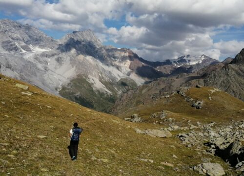 Giro del Confinale: tra Gran Zebrù, Stambecchi e Cevedale nel Parco dello Stelvio