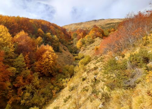 Foliage in Appennino modenese